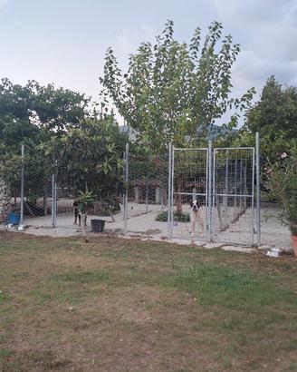 pensione casalinga 