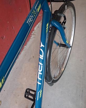 bici da uomo