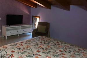 Beucarnea apartment