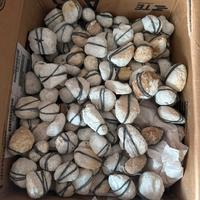 Geodi cristallo di rocca al pz