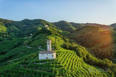 Confortevole appartamento - giardino - posto auto