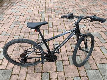 bicicletta per bambini e ragazzi