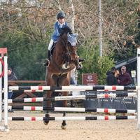 Cavallo