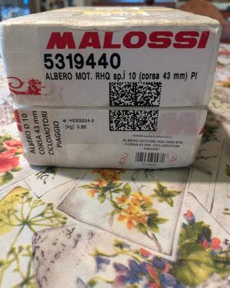 Albero anticipato malossi rhq sp10