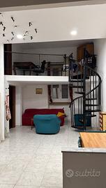 Coinquilina a torino
