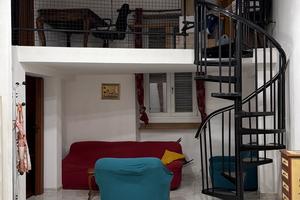 Coinquilina a torino
