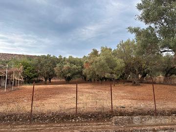 Terreno edificabile superficie 2370 mq a Pastorano