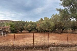Terreno edificabile superficie 2370 mq a Pastorano