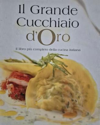 IL GRANDE CUCCHIAIO D'ORO