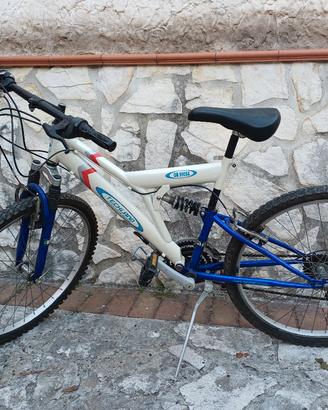 Bici Mountain bike