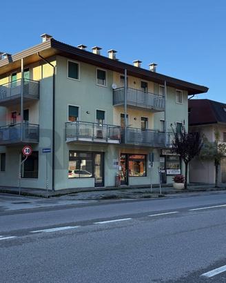 Locale Commerciale - Ponte nelle Alpi