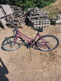 BICI PER ADULTO