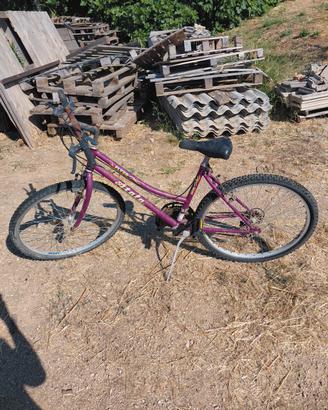 BICI PER ADULTO