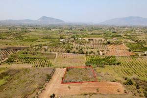 Terreno agricolo a Partinico, Contrada Cannizzaro
