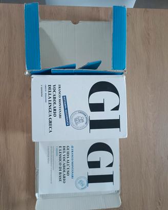 dizionario  greco   GI 
