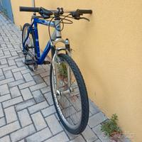 MTB professionale anni 2000