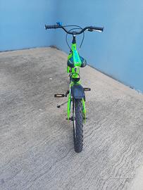 Si vende bicicletta a Pisa. 