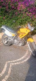 Honda dominetor