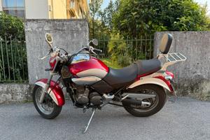 Beta euro 350