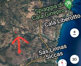 Terreno agricolo Calaliberotto Orosei