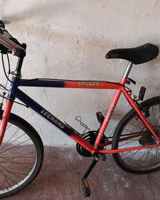 bici uomo