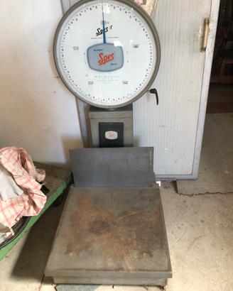 Bilancia a bassacuna