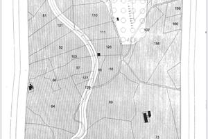 Uliveto con 80 piante mq 4190 Cerisano (cs)