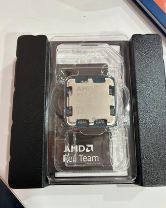 Processore AMD Ryzen 5 9600x perfetto