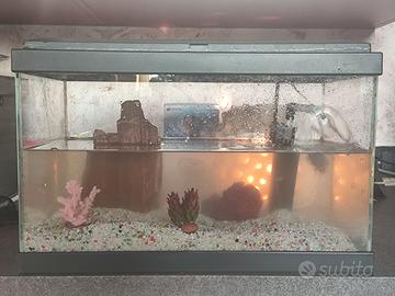 Acquario completo con pesce rosso