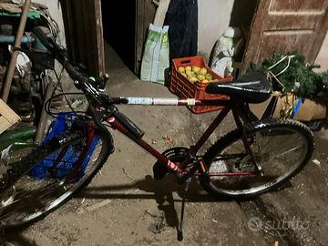 Bici mountabike