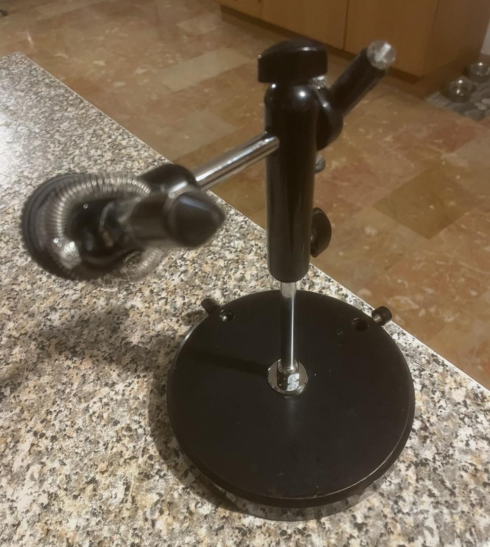 Le Mosche Soldato Nere Che Riciclano La Plastica - Foto 5