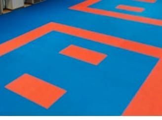 Tatami karate Rosso/Blu 2cm
