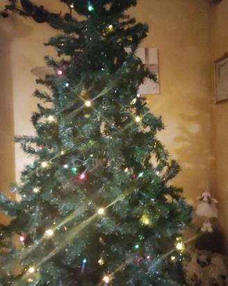 albero di natale 