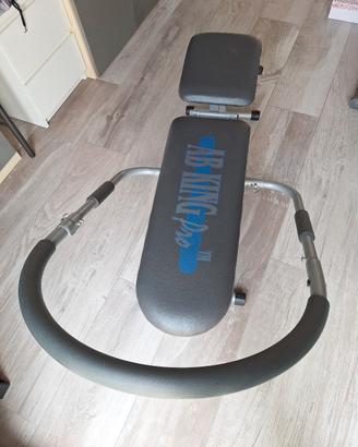 panca per addominali Ab King Pro.