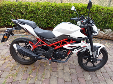 BENELLI bn125