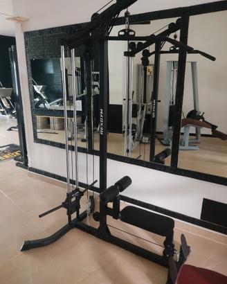 Lat Machine/Calf