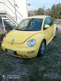 new bettle 