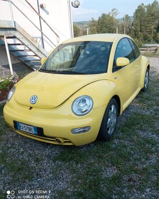 new bettle 