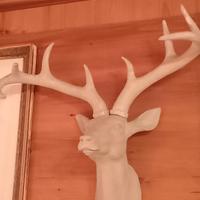 testa di cervo in resina 