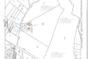 Terreno Agricolo Rosciano [A4294601]