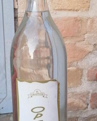 grappa opera 204