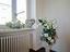 Immagine 11