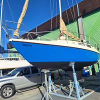 Barca a vela Neptun 26