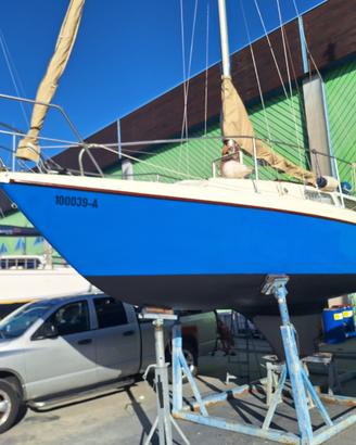 Barca a vela Neptun 26