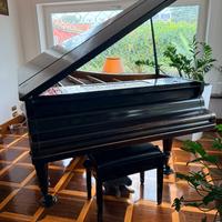 pianoforte fine 800
