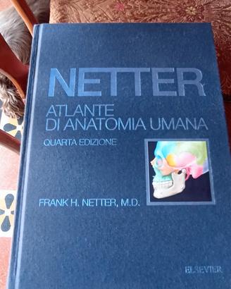 Atlante di Anatomia umana NETTER