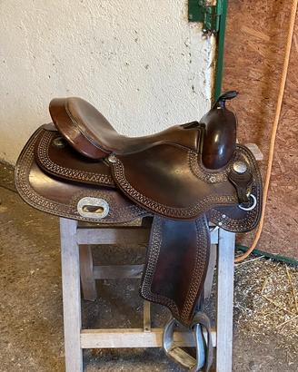 Sella reining poll’s 16