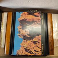 amplificatore auto danasteel tiger 50