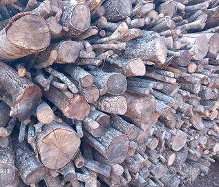 QUERCIA E CERRO REALMENTE SECCO 