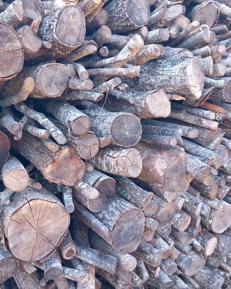 QUERCIA E CERRO REALMENTE SECCO 